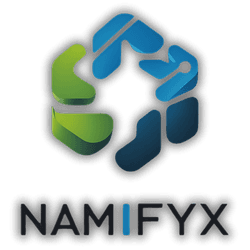 NamifyX Logo